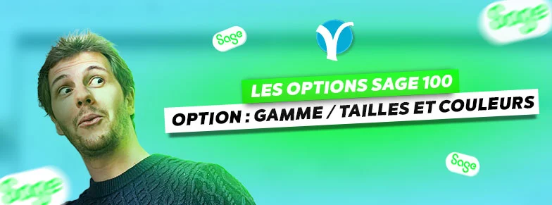 Option Gamme / Tailles et couleurs sur Sage 100 Gestion Commerciale