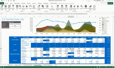 Parc Sage 100 — gamme complète compatible avec Sage BI Reporting